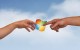 James Steidl/Shutterstock