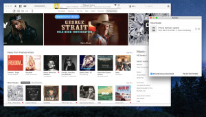 itunes 12 separate download window