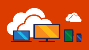 office 365