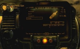 Fallout New Vegas