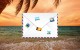 Out of Office Email