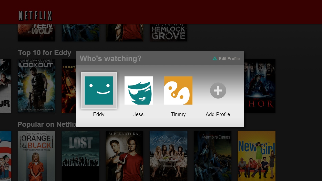 Netflix Individual Profiles