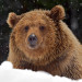 Add a Hibernation Option to the Windows 8.1 Power User Menu
