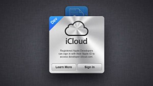 iCloud Developer Access