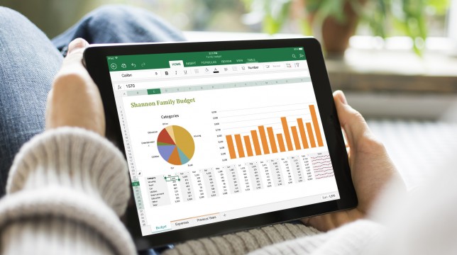 Office for iPad Excel