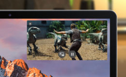 sierra picture in picture controls