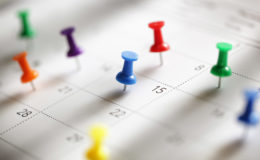 calendar pins