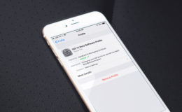 ios beta profile iphone