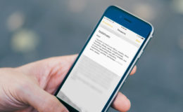 iphone thesaurus