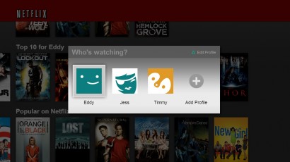 Netflix Individual Profiles