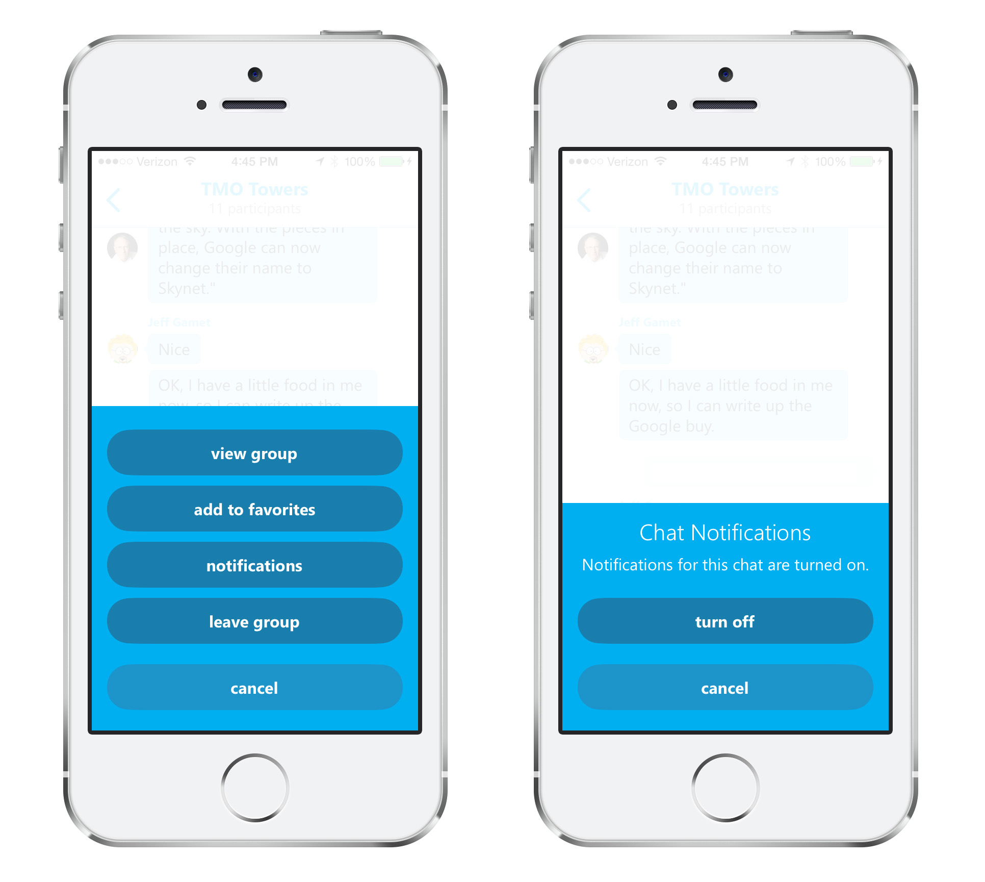 Skype for iPhone 5.0